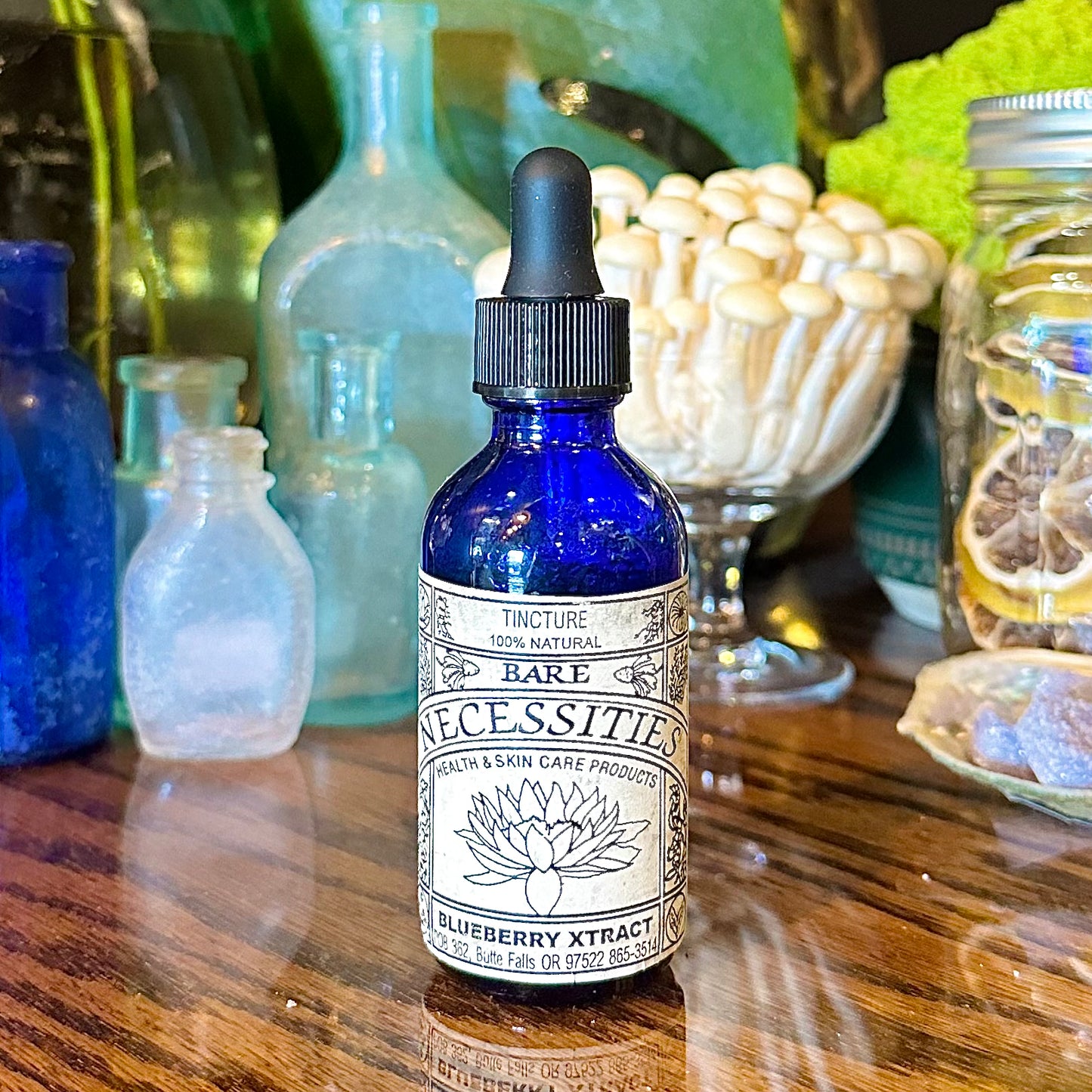 Blueberry Extract